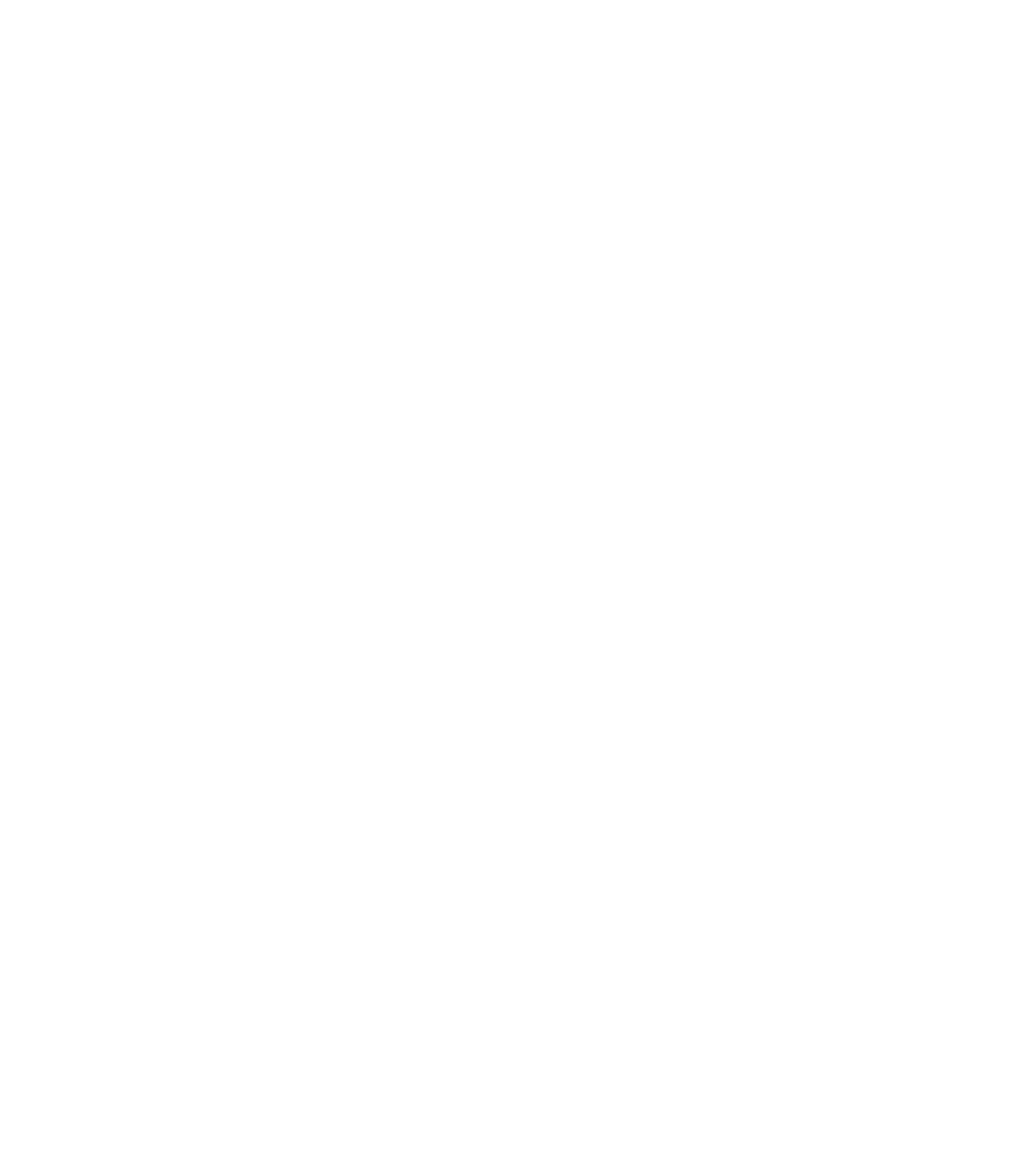 nicePayLogo